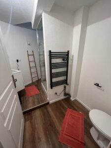 Appartement proche centre historique - Mulhouse