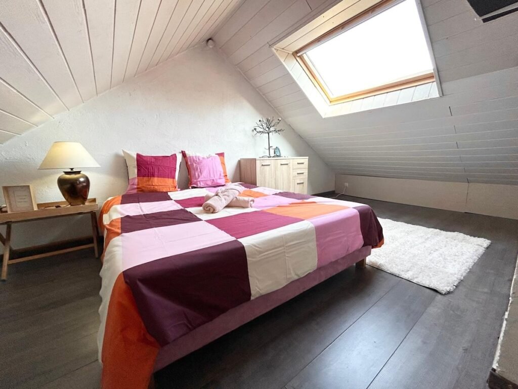 Charmant Duplex proche gare - Mulhouse