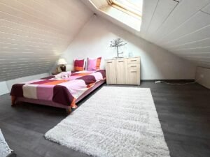 Charmant Duplex proche gare - Mulhouse