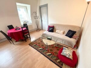 Charmant Duplex proche gare - Mulhouse